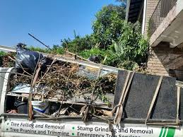 Best Foreclosure Cleanout  in Hamilton, IN